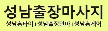 성남 출장안마 1